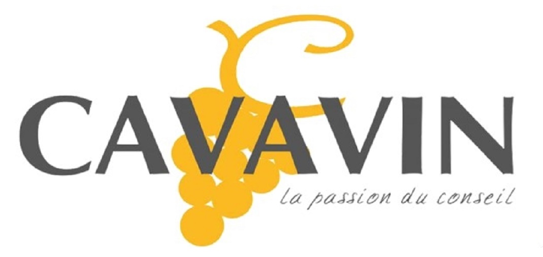 Cavavin